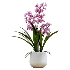 Lytchett Potted Real Touch Artificial Cymbidium Orchid, Pink Flower, Large by Casa Bella, a Plants for sale on Style Sourcebook