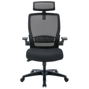Lovnas Mesh Ergonomic Office Chair by Conception Living, a Chairs for sale on Style Sourcebook