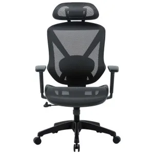 Evora Mesh Ergonomic Office Chair by Conception Living, a Chairs for sale on Style Sourcebook