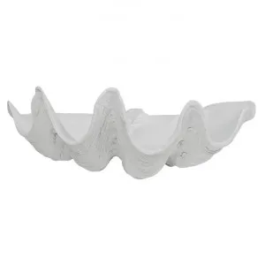 Avoca Clam Shell Sculpture Decor, 51cm, White by Searles, a Statues & Ornaments for sale on Style Sourcebook