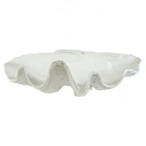 Avoca Clam Shell Sculpture Decor, 68cm, White by Searles, a Statues & Ornaments for sale on Style Sourcebook