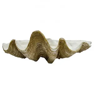 Avoca Clam Shell Sculpture Decor, 69cm, Sand by Searles, a Statues & Ornaments for sale on Style Sourcebook