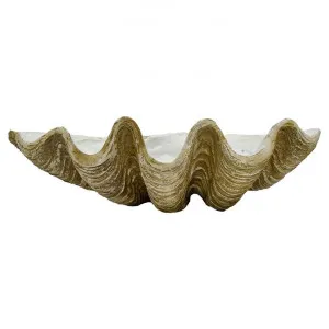 Avoca Clam Shell Sculpture Decor, 79cm, Sand by Searles, a Statues & Ornaments for sale on Style Sourcebook