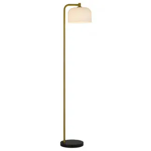 Hoff Iron & Fluted Glass Floor Lamp by Telbix, a Floor Lamps for sale on Style Sourcebook