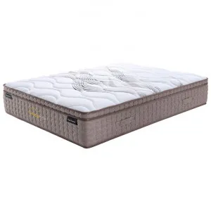 Royal Dreamer Boxed Euro Top Pocket Spring Medium Mattress, Queen by Dodicci, a Mattresses for sale on Style Sourcebook