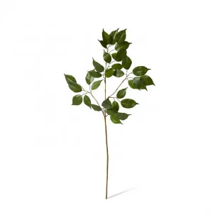 Ficus Spray - 45 x 35 x 100cm by Elme Living, a Plants for sale on Style Sourcebook