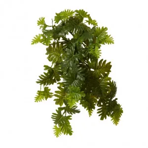 Philo Selloum Hanging Plant - 30 x 30 x 56cm by Elme Living, a Plants for sale on Style Sourcebook