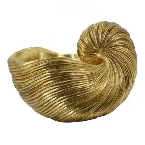 Lehriya Conch Sculpture, Gold by Florabelle, a Statues & Ornaments for sale on Style Sourcebook