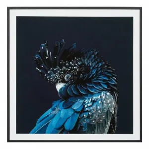 Australian Cockatoo Framed Print in 53 x 53cm by OzDesignFurniture, a Prints for sale on Style Sourcebook