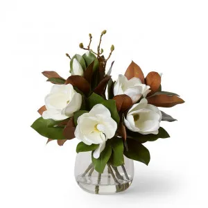 Magnolia Grand Leaf Mix  - Alma Vase - 55 x 55 x 55cm by Elme Living, a Plants for sale on Style Sourcebook