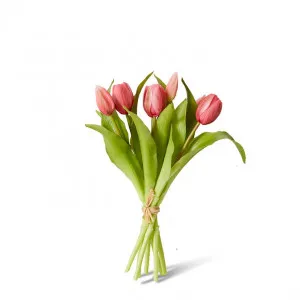 Tulip Petite Bundle - 22 x 22 x 30cm by Elme Living, a Plants for sale on Style Sourcebook