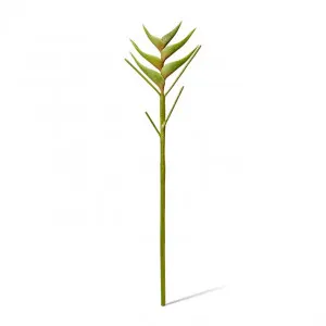 Heliconia Stem - 20 x 20 x 86cm by Elme Living, a Plants for sale on Style Sourcebook