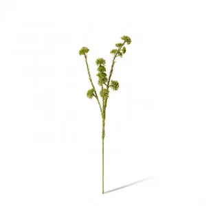 Seeding Mini Spray - 13 x 10 x 56cm by Elme Living, a Plants for sale on Style Sourcebook