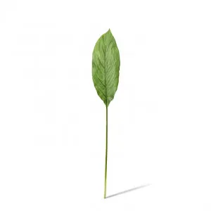 Spath Leaf Stem - 40 x 13 x 86cm by Elme Living, a Plants for sale on Style Sourcebook