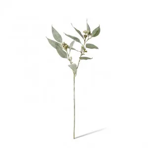 Eucy Gum Nut Spray - 28 x 10 x 65cm by Elme Living, a Plants for sale on Style Sourcebook