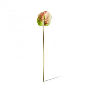 Anthurium Stem - 15 x 16 x 70cm by Elme Living, a Plants for sale on Style Sourcebook