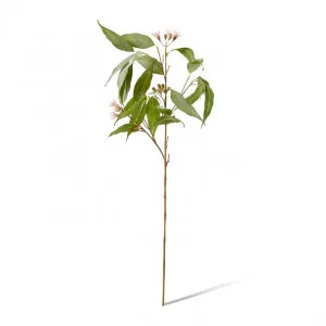 Eucalyptus Flowering Spray - 30 x 14 x 91cm by Elme Living, a Plants for sale on Style Sourcebook