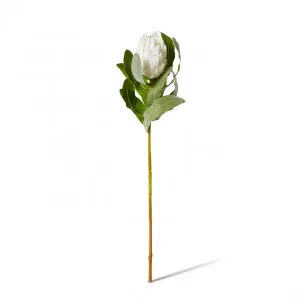 Protea Stem - 18 x 18 x 71cm by Elme Living, a Plants for sale on Style Sourcebook