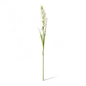 Tuberose Stem - 12 x 10 x 90cm by Elme Living, a Plants for sale on Style Sourcebook