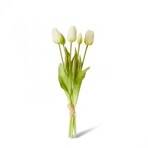 Tulip Bundle - 12 x 12 x 40cm by Elme Living, a Plants for sale on Style Sourcebook