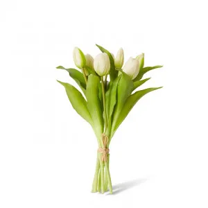 Tulip Petite Bundle - 22 x 22 x 30cm by Elme Living, a Plants for sale on Style Sourcebook