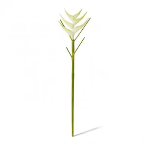 Heliconia Stem - 20 x 20 x 86cm by Elme Living, a Plants for sale on Style Sourcebook