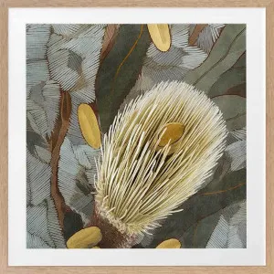 Wild Bottlebrush ll Framed Art Print by Urban Road, a Prints for sale on Style Sourcebook