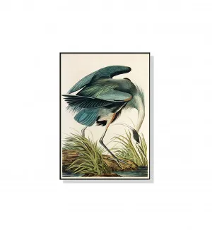 Great Blue Heron By John James Audubon Wall Art Canvas 4 sizes available 70cm x 50cm by Luxe Mirrors, a Artwork & Wall Decor for sale on Style Sourcebook