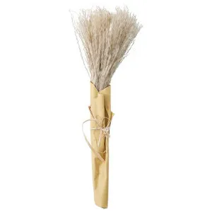 Lussielaw Dried Reed Grass Bundle in Paper Wrap, 56cm, Natural by Casa Bella, a Plants for sale on Style Sourcebook