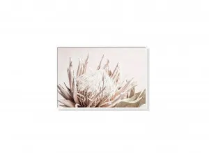 Protea Wall Art Canvas 4 sizes available 50cm x 70cm by Luxe Mirrors, a Artwork & Wall Decor for sale on Style Sourcebook