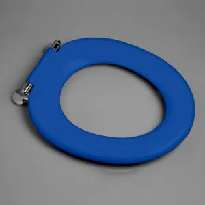 Pedigree II Single Flap Care Toilet Seat Die Cast Hinge Sorrento Blue In Blue/Sorrento Blue By Caroma by Caroma, a Toilets & Bidets for sale on Style Sourcebook