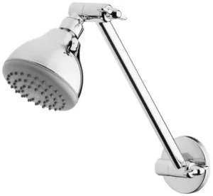 Ivy Shower Arm & Rose 3Star | Made From Brass In Chrome Finish By Phoenix by PHOENIX, a Showers for sale on Style Sourcebook