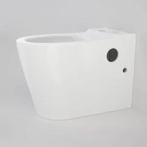 Care 660 Cleanflush Wall Faced Close Coupled Easy Height Bottom Inlet Pan With Armrest Holes In White By Caroma by Caroma, a Toilets & Bidets for sale on Style Sourcebook