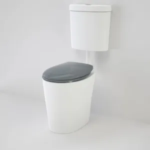 Care 610 Cleanflush Connector P Trap Suite With Caravelle Double Flap Seat Anthracite Grey In White By Caroma by Caroma, a Toilets & Bidets for sale on Style Sourcebook