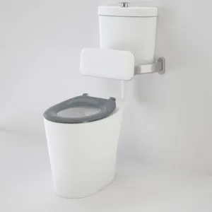 Care 610 Cleanflush® Connector Easy Height Pnv Suite With Backrest & Caravelle Single Flap Seat Anthracite Grey Nth 4Star In White By Caroma by Caroma, a Toilets & Bidets for sale on Style Sourcebook