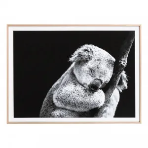 Sleepy Koala Framed Print in 121 x 86cm by OzDesignFurniture, a Prints for sale on Style Sourcebook