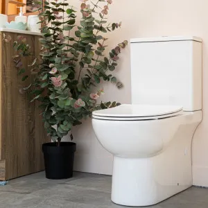 Galway Rimless Back To Wall Suite - White by Cob & Pen, a Toilets & Bidets for sale on Style Sourcebook