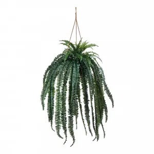 Boston Fern Hanging Bowl 60x195cm in Green/Natural by OzDesignFurniture, a Plants for sale on Style Sourcebook