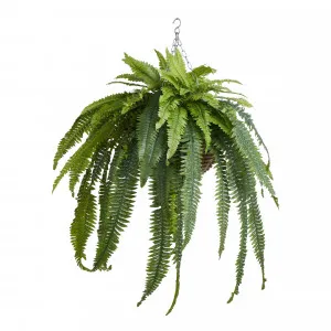 Boston Fern Hanging Bowl 87x105cm in Green/Natural by OzDesignFurniture, a Plants for sale on Style Sourcebook