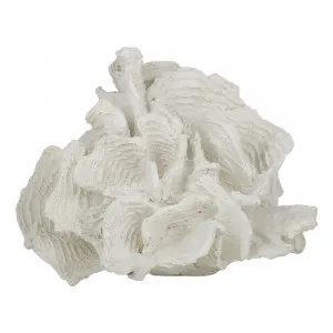 Foliose Coral Sculpture 20x16cm in White by OzDesignFurniture, a Statues & Ornaments for sale on Style Sourcebook
