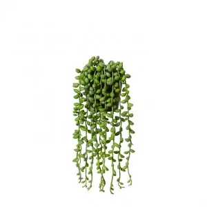 String of Pearls Angel Tears Hanging-Garden Pot - 15 x 15 x 30cm by Elme Living, a Plants for sale on Style Sourcebook