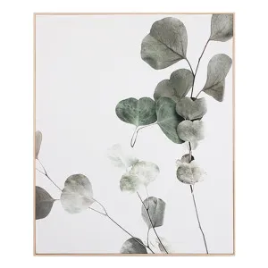 Eucalyptus Branch 1 Box Framed Canvas in 60 x 70cm by OzDesignFurniture, a Painted Canvases for sale on Style Sourcebook