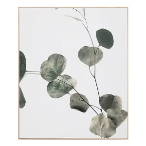 Eucalyptus Branch 2 Box Framed Canvas in 60 x 70cm by OzDesignFurniture, a Painted Canvases for sale on Style Sourcebook