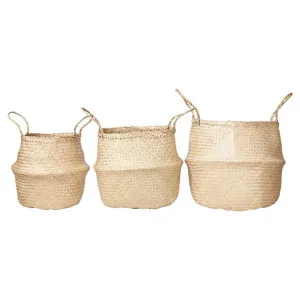 Lucida 3 Piece Foldable Seagrass Basket Set, Natural by Casa Uno, a Baskets & Boxes for sale on Style Sourcebook