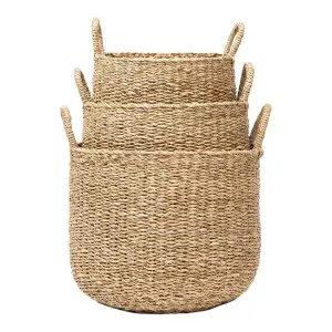 Como 3 Piece Seagrass Elliptical Basket Set by Wicka, a Baskets & Boxes for sale on Style Sourcebook