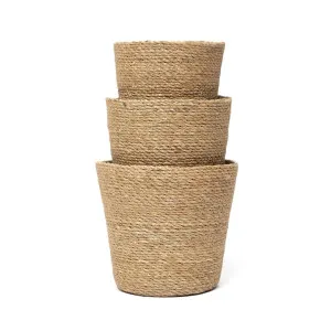 Sutton 3 Piece Seagrass Round Basket Set by Wicka, a Baskets & Boxes for sale on Style Sourcebook