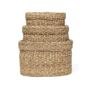 Torino 3 Piece Seagrass Oval Basket Set by Wicka, a Baskets & Boxes for sale on Style Sourcebook