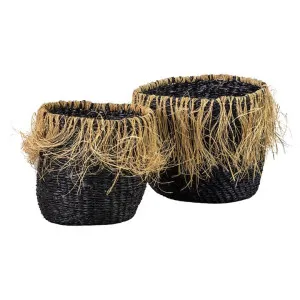 Weeton 2 Piece Seagrass Basket Set, Black by Casa Bella, a Baskets & Boxes for sale on Style Sourcebook
