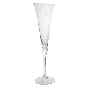 Baccala Etched Champagne Glass, Clear by French Country Collection, a Champagne Glasses for sale on Style Sourcebook
