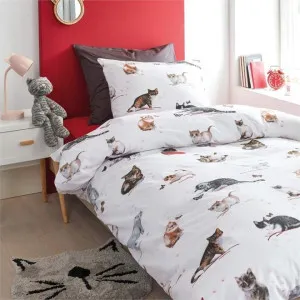 Bedding House Cute Cats Multi Cotton Quilt Cover Set by null, a Quilt Covers for sale on Style Sourcebook